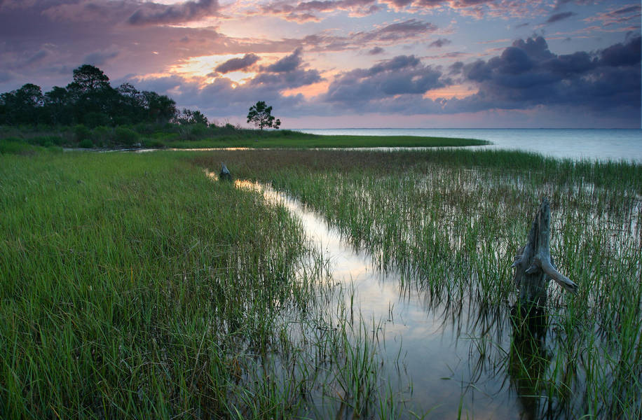 Buying Land in Florida to Build a House | Step-By-Step