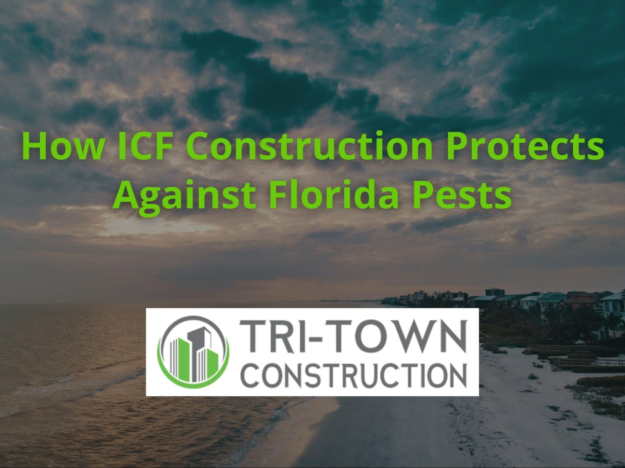 How ICF Construction Keeps Florida Bugs Out